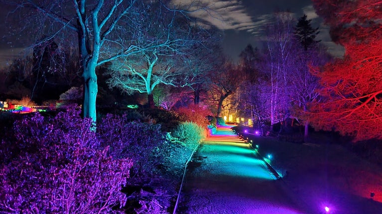 Entrance pathway illuminated with colourful lights at Scotney Castle